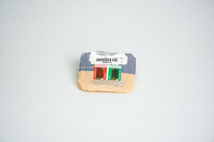 PIÑON SALIDA - 13 LB 80 PASO 420 CASSARELLA