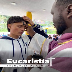 Imagen en miniatura de la galería