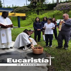 Imagen en miniatura de la galería