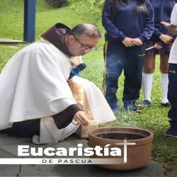 Imagen en miniatura de la galería
