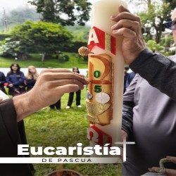 Imagen en miniatura de la galería