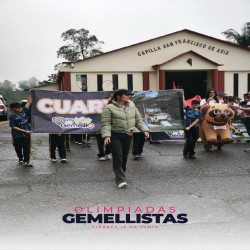 Imagen en miniatura de la galería