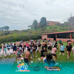 Imagen en miniatura de la galería