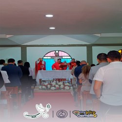 Imagen en miniatura de la galería