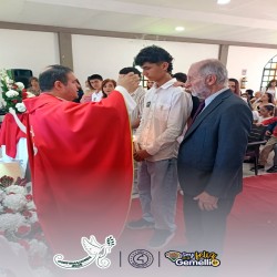 Imagen en miniatura de la galería