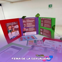 Imagen en miniatura de la galería