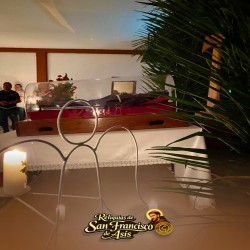 Imagen en miniatura de la galería