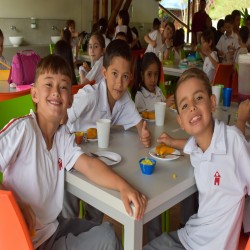 Imagen en miniatura de la galería