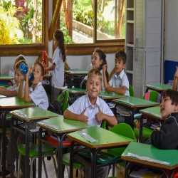 Imagen en miniatura de la galería