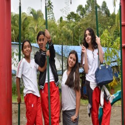 Imagen en miniatura de la galería