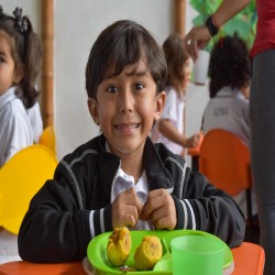 Imagen en miniatura de la galería