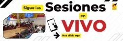 Imagen en miniatura de la galería