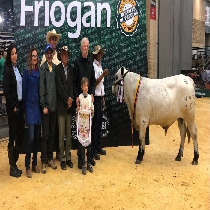 AGROEXPO 2019