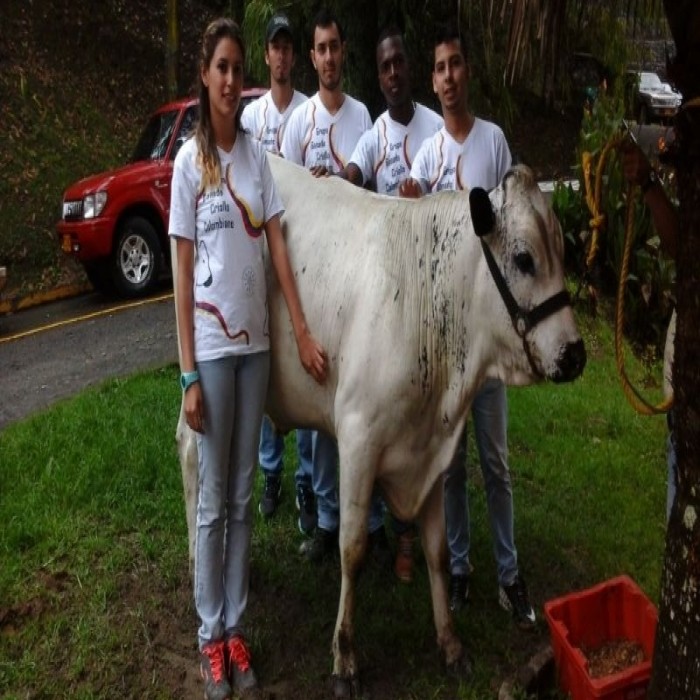 Dia del Veterinario en Manizales