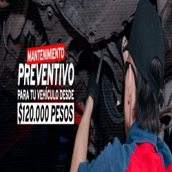 Imagen en miniatura de la galería